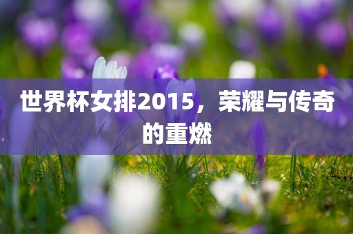 世界杯女排2015，荣耀与传奇的重燃