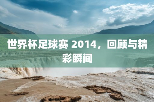 世界杯足球赛 2014，回顾与精彩瞬间