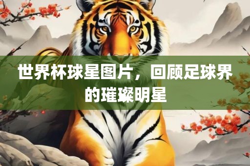 世界杯球星图片，回顾足球界的璀璨明星漯河市盈旭机械设备有限公司