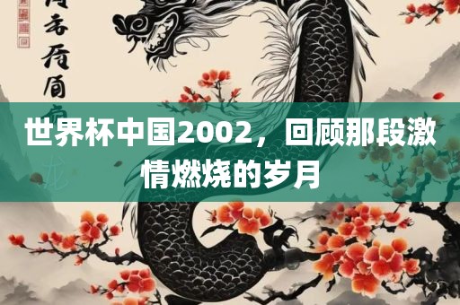 世界杯中国2002，回顾那段激情燃烧的岁月