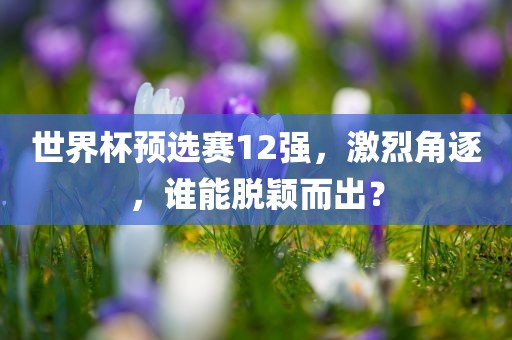 世界杯预选赛12强，激烈角逐，谁能脱颖而出？