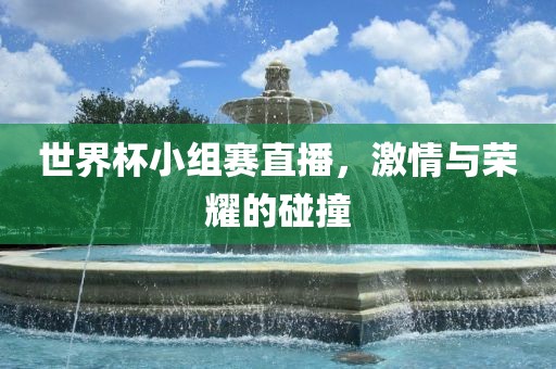 世界杯小组赛直播，激情与荣耀的碰撞