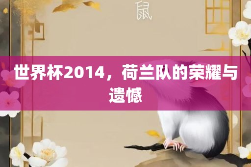 世界杯2014，荷兰队的荣耀与遗憾