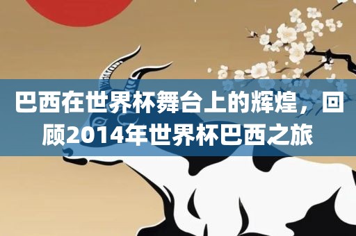 巴西在世界杯舞台上的辉煌，回顾2014年世界杯巴西之旅