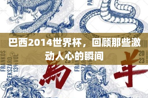 巴西2014世界杯，回顾那些激动人心的瞬间