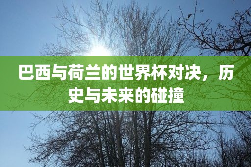 巴西与荷兰的世界杯对决，历史与未来的碰撞