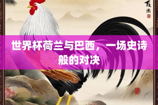 世界杯荷兰与巴西，一场史诗般的对决漯河市盈旭机械设备有限公司