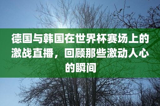 德国与韩国在世界杯赛场上的激战直播，回顾那些激动人心的瞬间