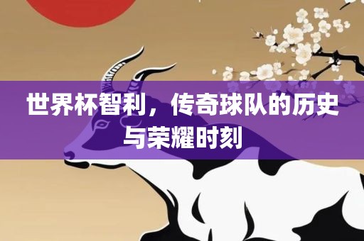 世界杯智利，传奇球队的历史与荣耀时刻漯河市盈旭机械设备有限公司