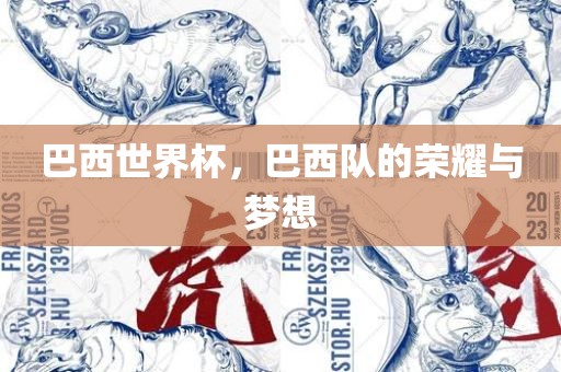 巴西世界杯，巴西队的荣耀与梦想