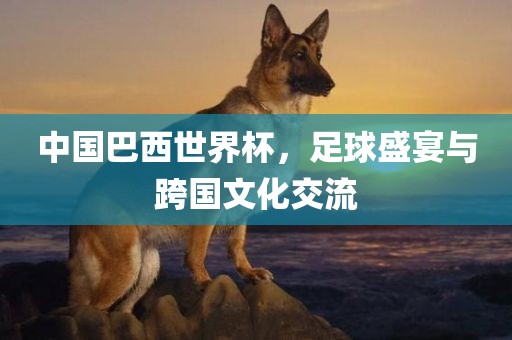 中国巴西世界杯，足球盛宴与跨国文化交流