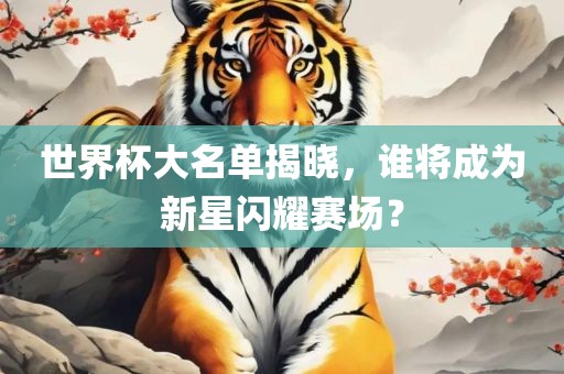 世界杯大名单揭晓，谁将成为新星闪耀赛场？