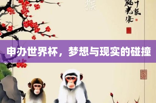 申办世界杯，梦想与现实的碰撞