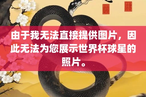 由于我无法直接提供图片，因此无法为您展示世界杯球星的照片。