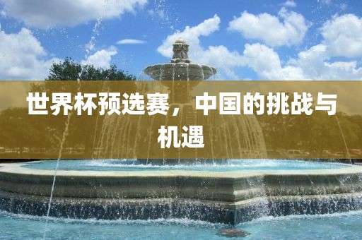 世界杯预选赛，中国的挑战与机遇