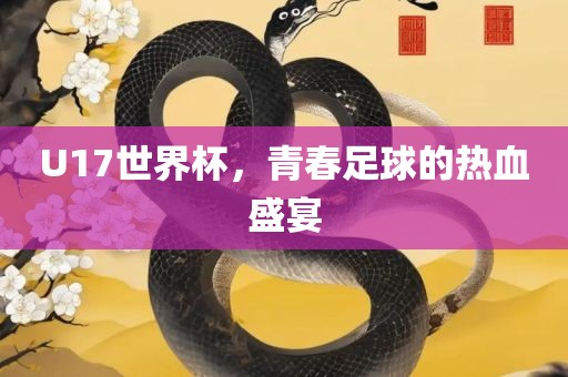 U17世界杯，青春足球的热血盛宴