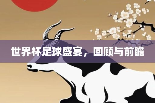 世界杯足球盛宴，回顾与前瞻