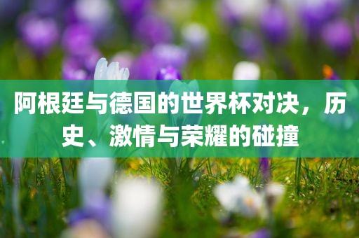 阿根廷与德国的世界杯对决，历史、激情与荣耀的碰撞