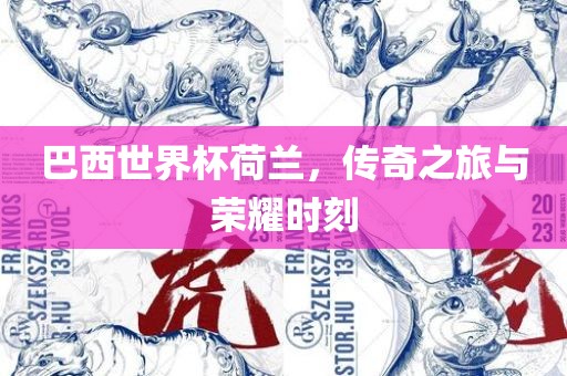巴西世界杯荷兰，传奇之旅与荣耀时刻