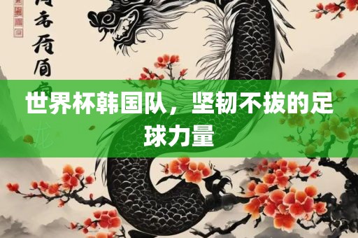 世界杯韩国队，坚韧不拔的足球力量