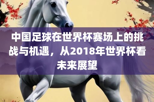 中国足球在世界杯赛场上的挑战与机遇，从2018年世界杯看未来展望