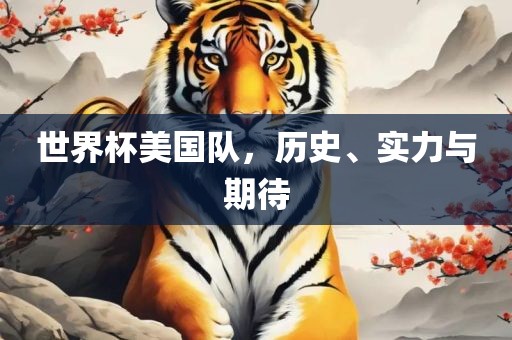 世界杯美国队，历史、实力与期待