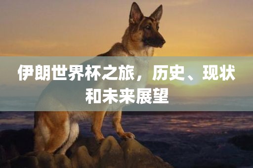 伊朗世界杯之旅，历史、现状和未来展望