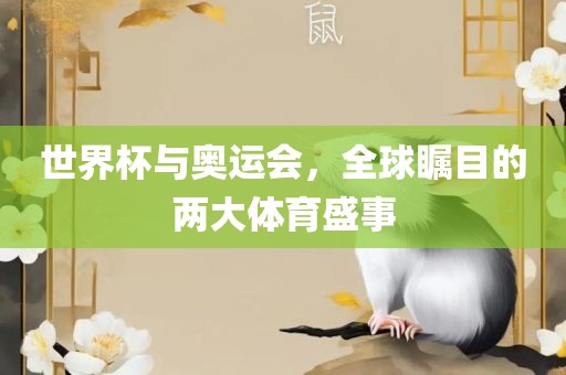 世界杯与奥运会，全球瞩目的两大体育盛事