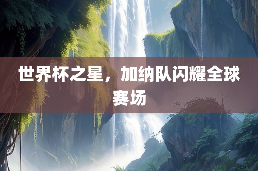 世界杯之星，加纳队闪耀全球赛场