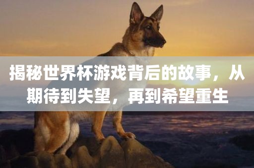 揭秘世界杯游戏背后的故事，从期待到失望，再到希望重生