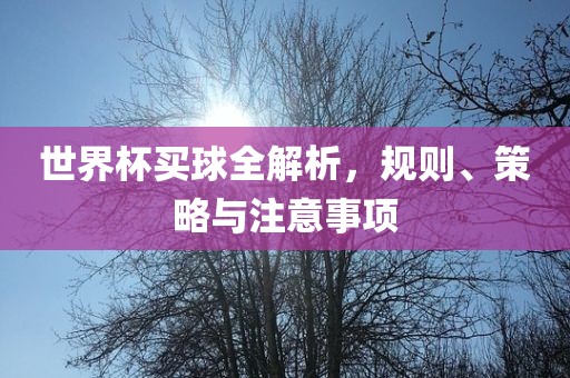 世界杯买球全解析，规则、策略与注意事项