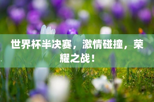 世界杯半决赛，激情碰撞，荣耀之战！