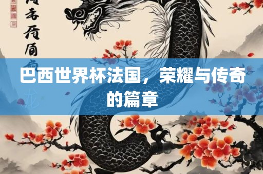 巴西世界杯法国，荣耀与传奇的篇章