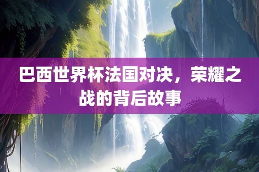 巴西世界杯法国对决，荣耀之战的背后故事