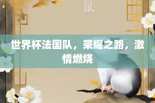 世界杯法国队，荣耀之路，激情燃烧