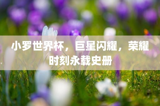 小罗世界杯，巨星闪耀，荣耀时刻永载史册