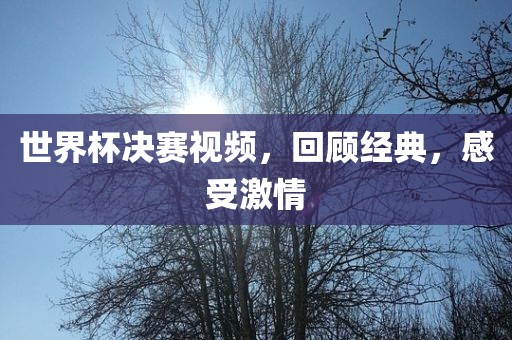世界杯决赛视频，回顾经典，感受激情
