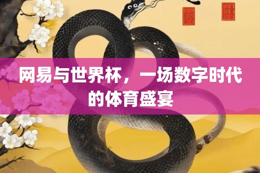 网易与世界杯，一场数字时代的体育盛宴