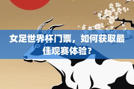 女足世界杯门票，如何获取最佳观赛体验？