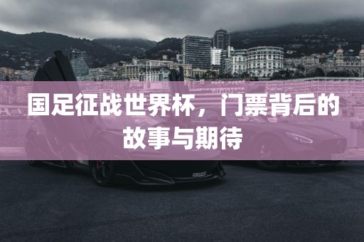 国足征战世界杯，门票背后的故事与期待