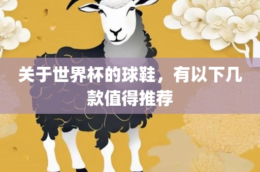 世界杯球鞋