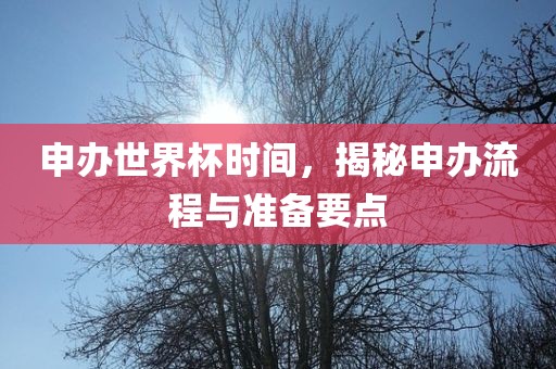 申办世界杯时间，揭秘申办流程与准备要点