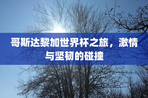 哥斯达黎加世界杯之旅，激情与坚韧的碰撞