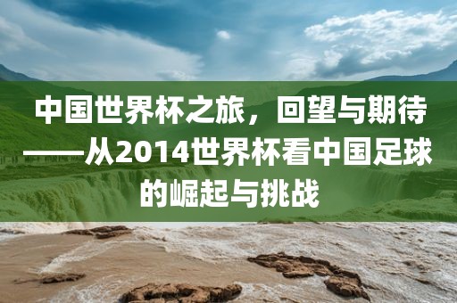 中国世界杯之旅，回望与期待——从2014世界杯看中国足球的崛起与挑战