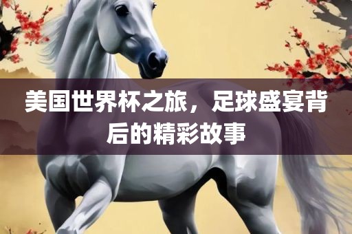 美国世界杯之旅，足球盛宴背后的精彩故事