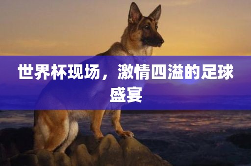 世界杯现场，激情四溢的足球盛宴