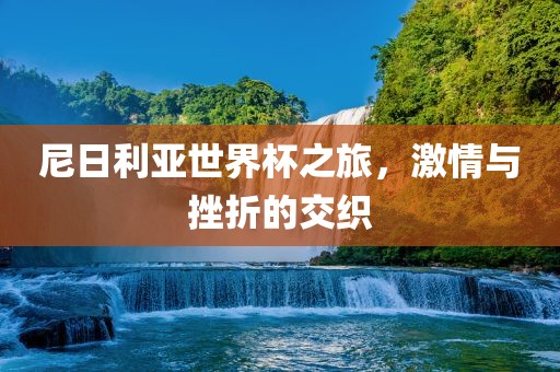 尼日利亚世界杯之旅，激情与挫折的交织