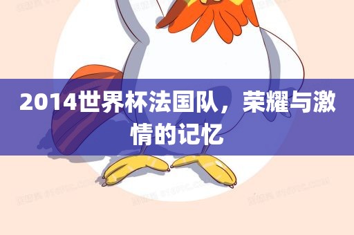 2014世界杯法国队，荣耀与激情的记忆