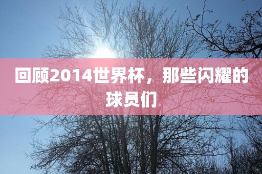 回顾2014世界杯，那些闪耀的球员们