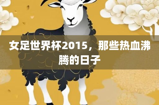 女足世界杯2015，那些热血沸腾的日子